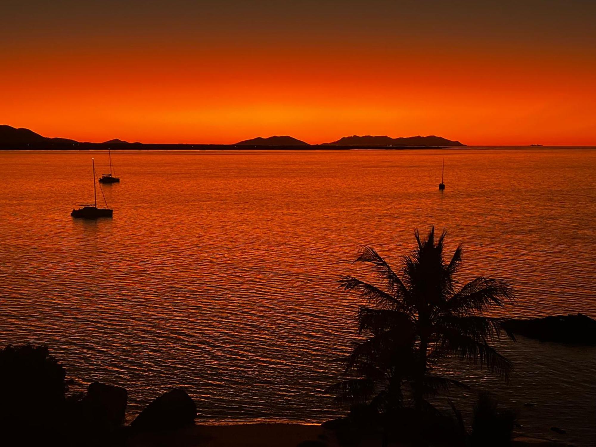 Coral Cove Apartments - Absolute Beachfront Resort Bowen Extérieur photo